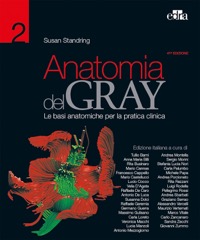 copertina di Anatomia del Gray - Le basi anatomiche per la pratica clinica -  41ed. ( Opera in ...